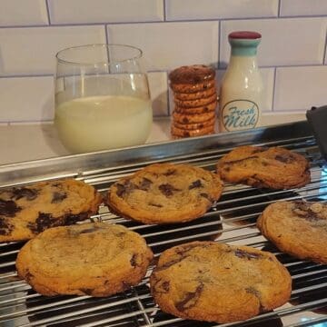 chocolate chip cookies on pan rack