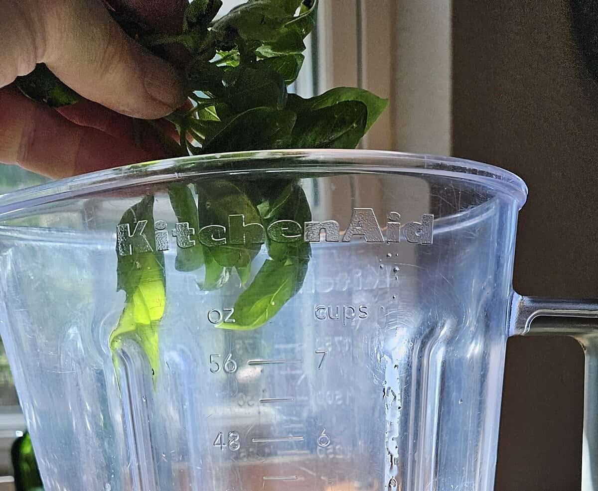 basil being dropped into a blender