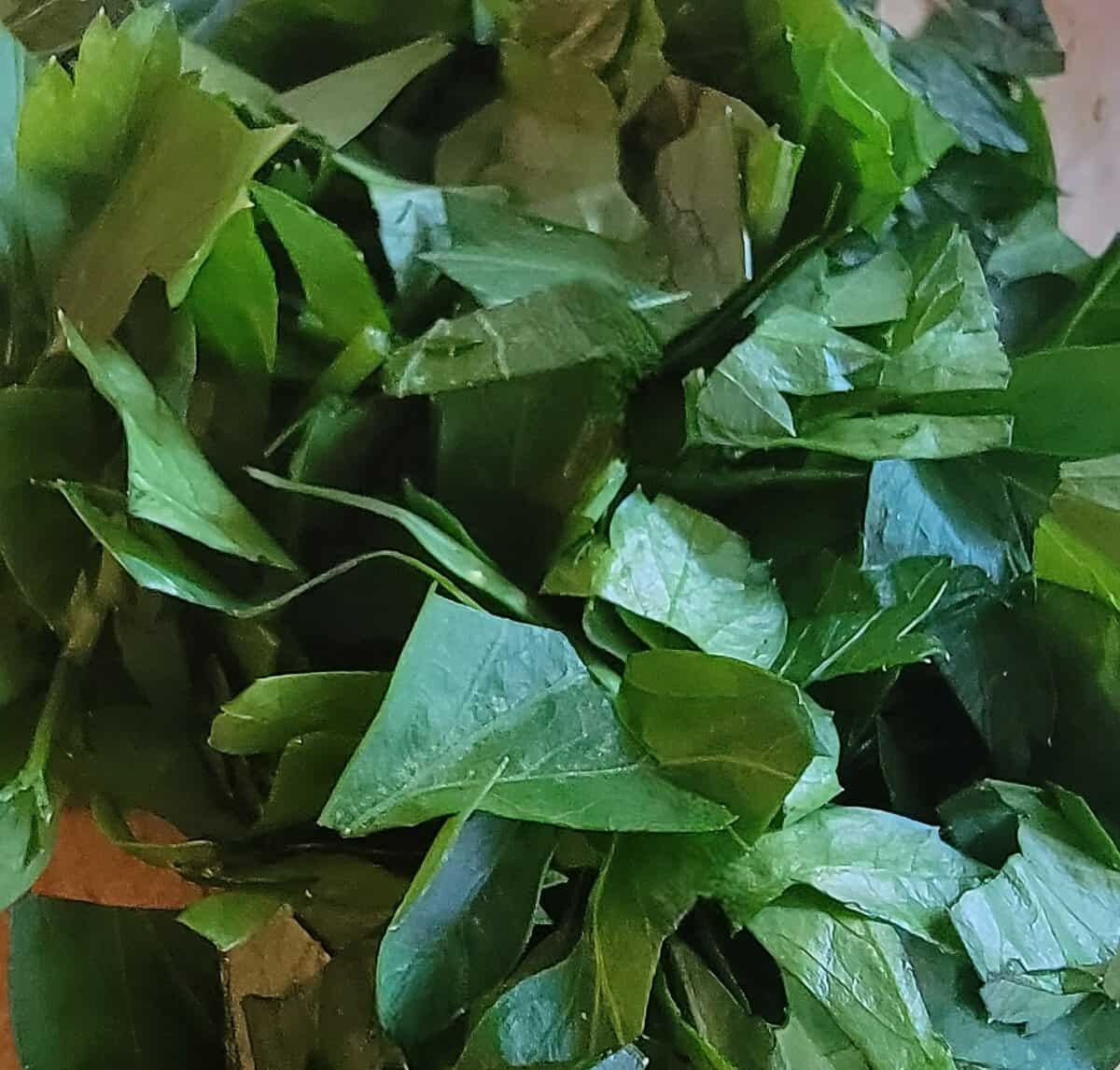 roughly chopped fresh parsley.
