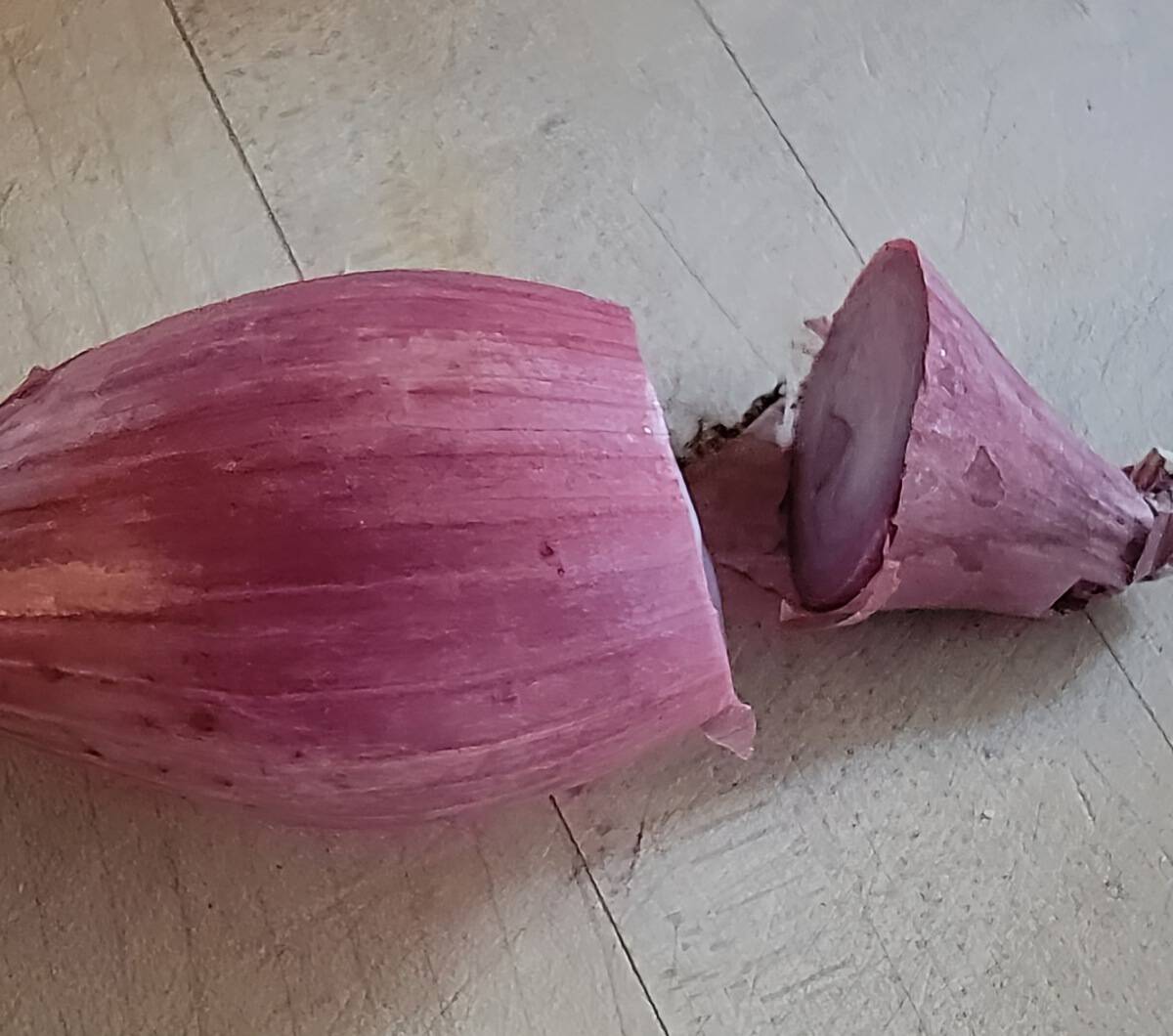 unpeeled shallot with stem end cut off.