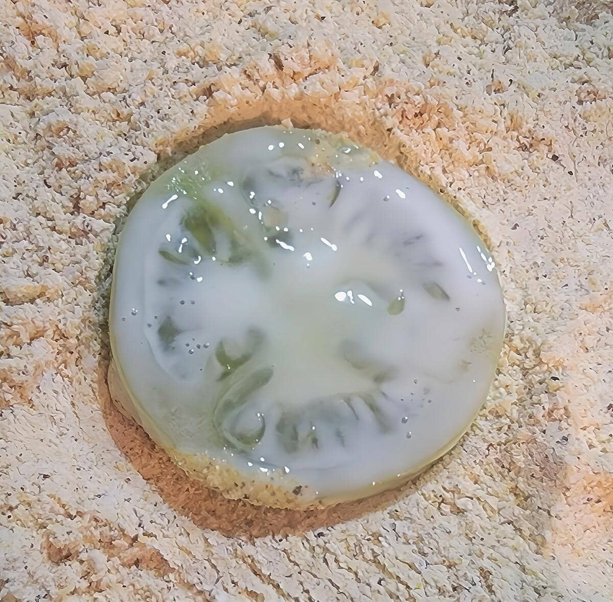 slice of green tomato laying in corn meal dredge, still coated in buttermilk on one side, waiting to be flipped over and coated on other side.