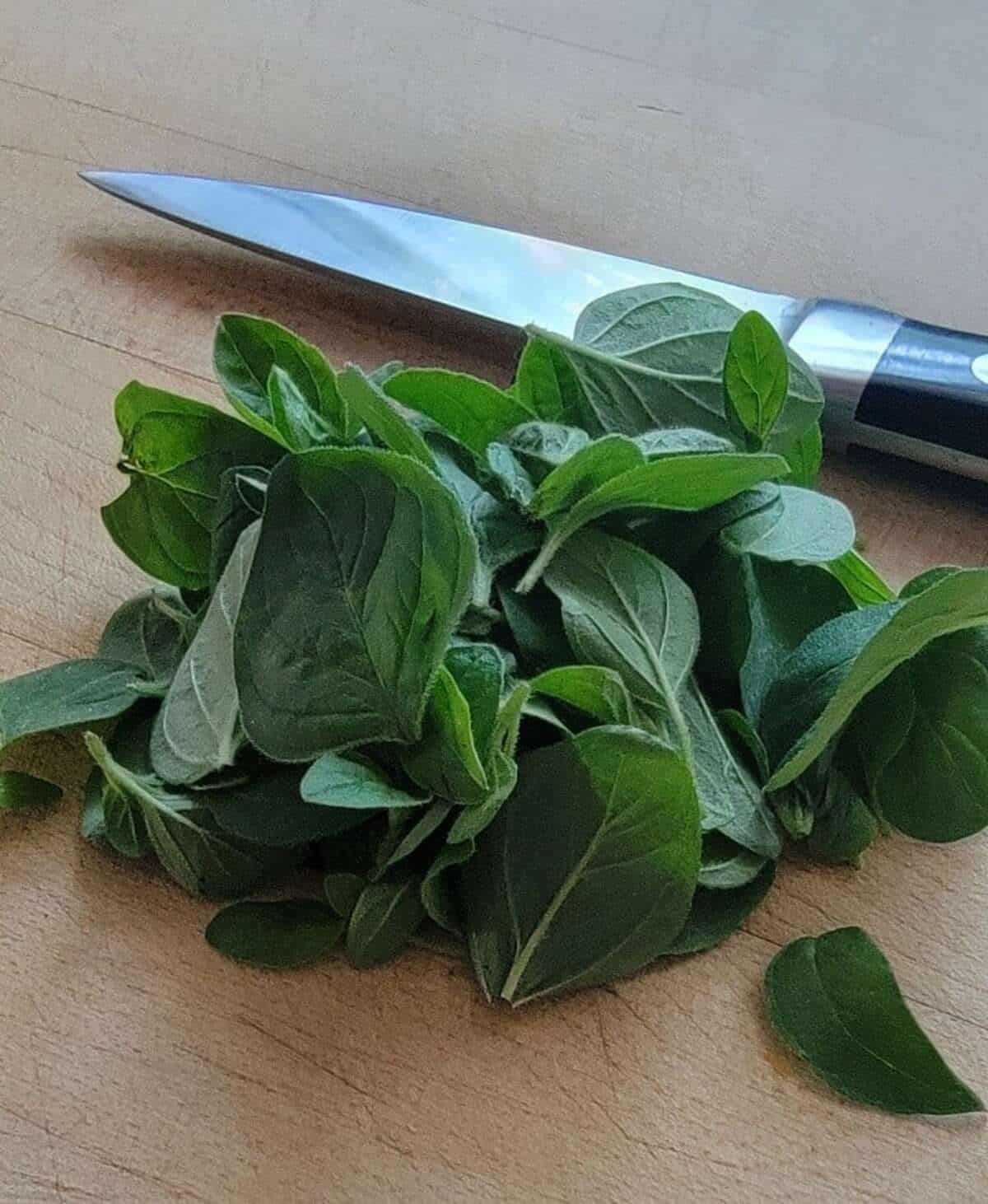 cutting board with picked fresh oregano, paring knife