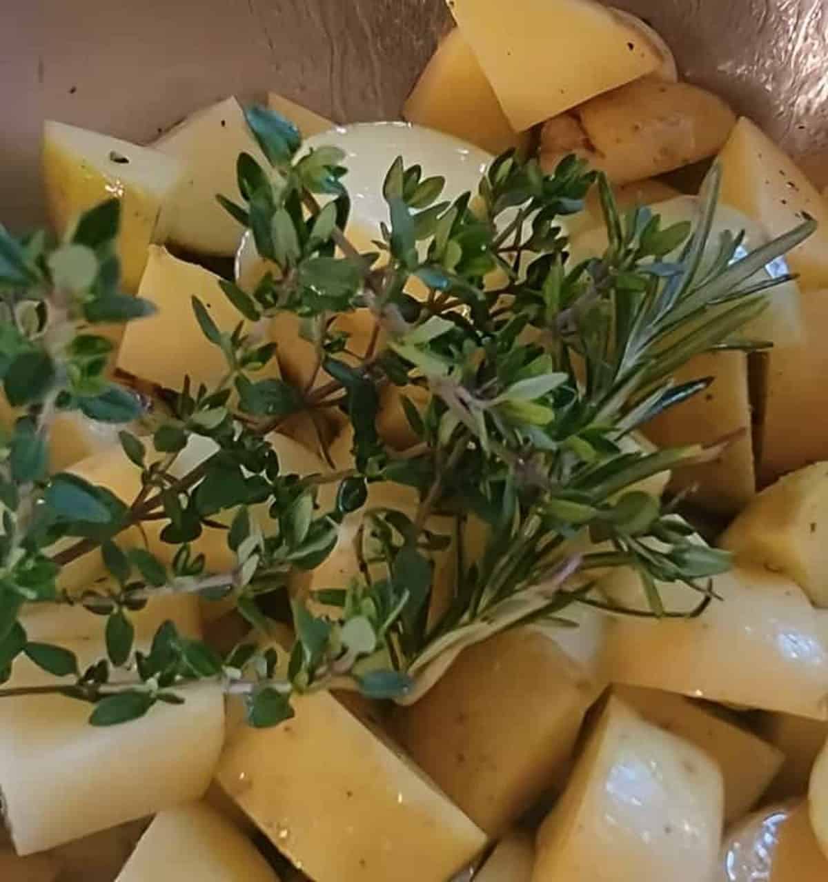 chopped potatoes, coated with oil and seasoned, with sprigs of fresh thyme and rosemary, in mixing bowl