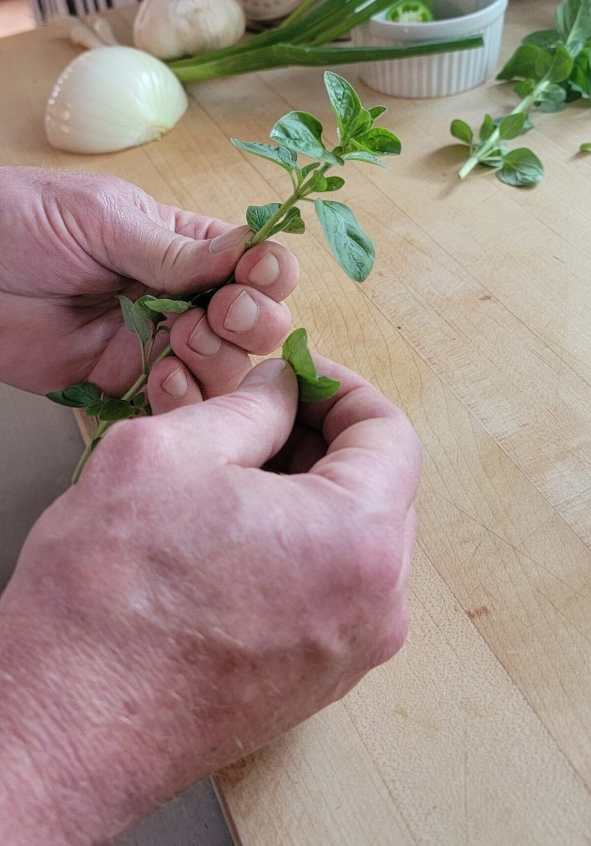hands shown picking fresh oregano from the stem