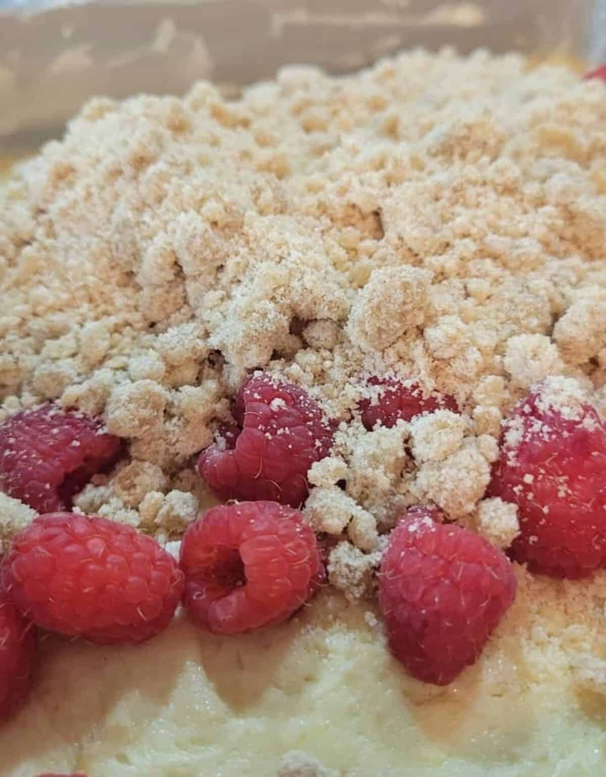 close up of batter, raspberries, and crumble topping layered and ready for oven