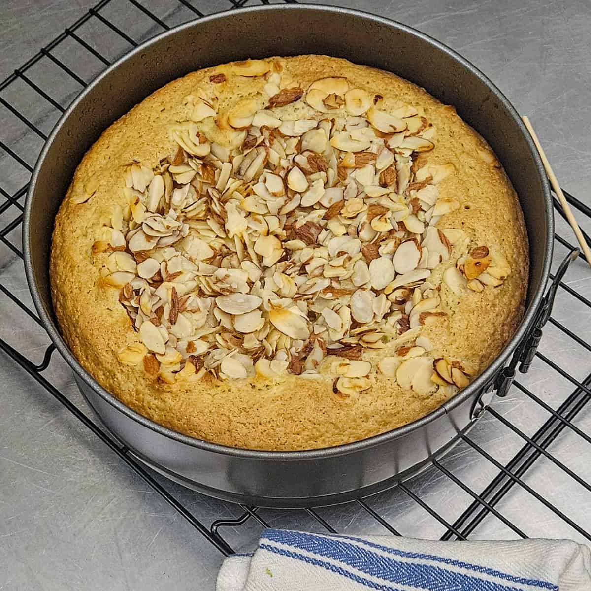 finished gluten free olive oil cake fresh from the oven in a pan cooling on a wire rack