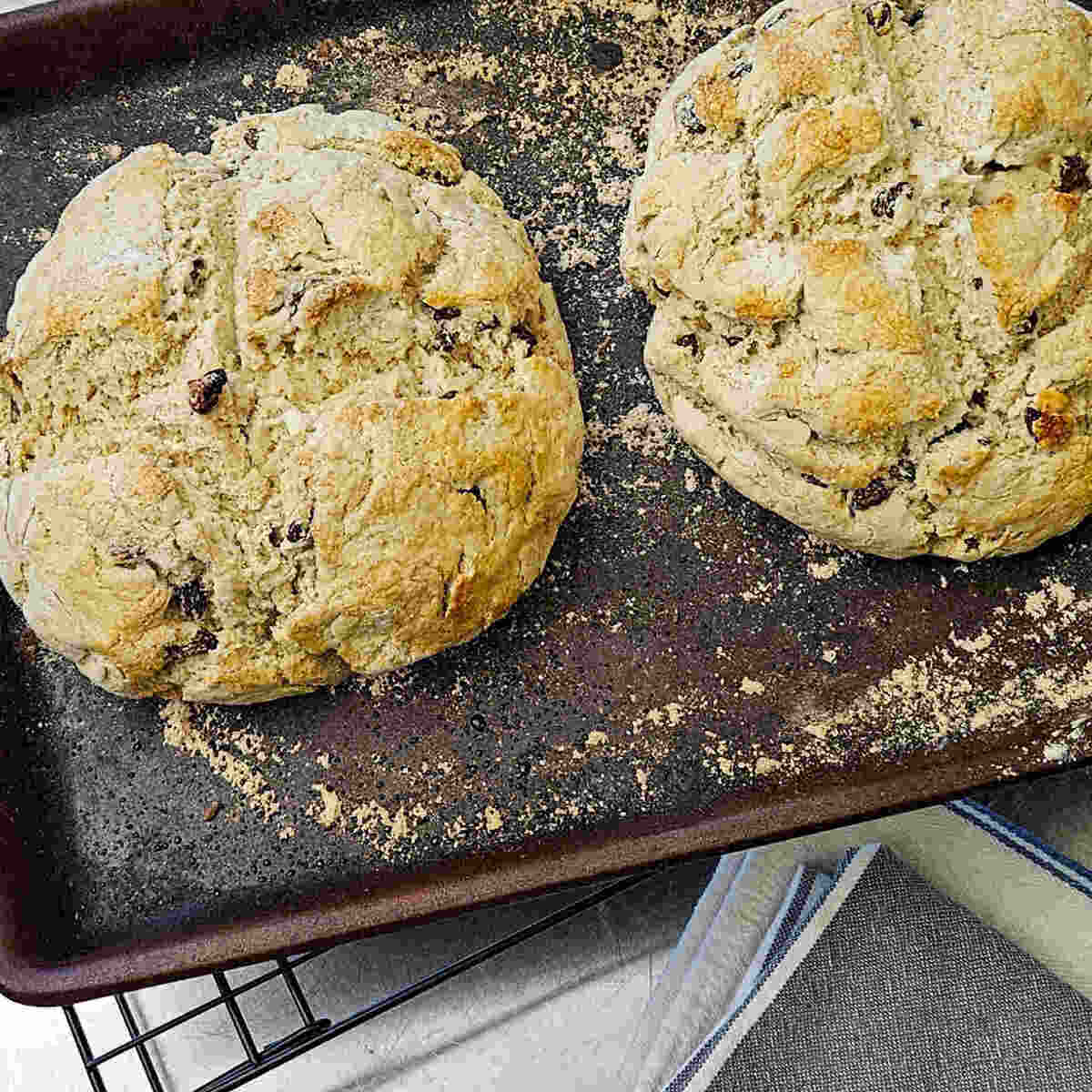 the gluten free Irish soda bread fresh out of the oven, on a baking pan, for the gluten free Irish soda bread