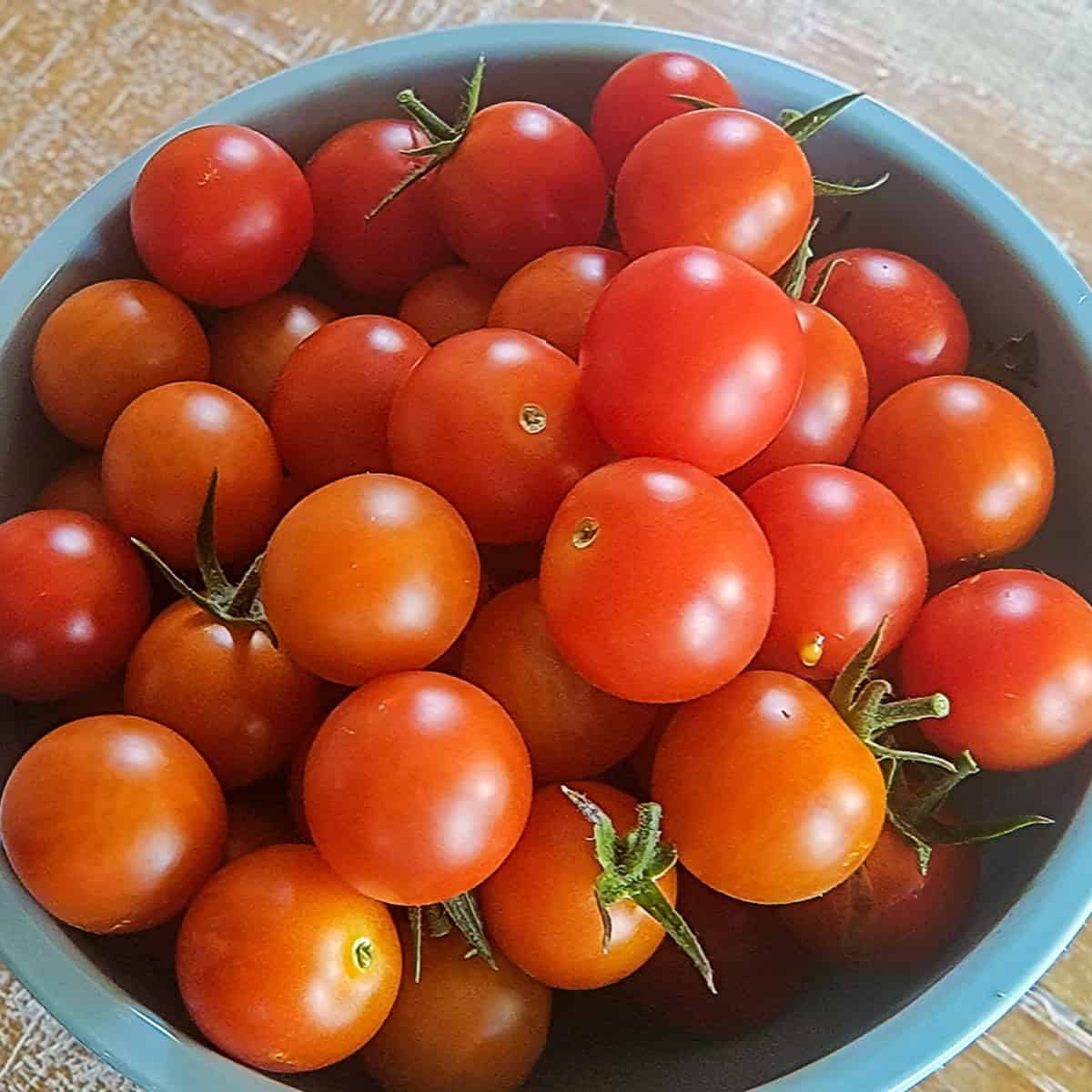 Cherry tomatoes in a bowl, perfect for fresh salads and cooking.